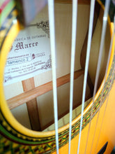 Cargar imagen en el visor de la galería, Marce FLAMENCO 2