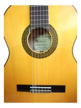 Cargar imagen en el visor de la galería, Marce FLAMENCO 2